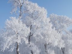 -雾凇岛