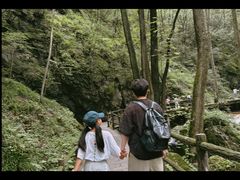 -牛背梁国家森林公园