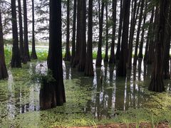 -东湖落雁景区