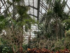-南山植物园