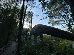 -幽优农庄·森波拉特色本地农家菜