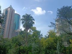 -九龙公园