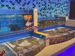 水产区-乔哥铭洋海鲜自助(皇城恒隆广场店)