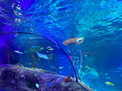 -沈阳海洋探索中心