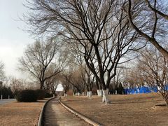 -永定河休闲森林公园