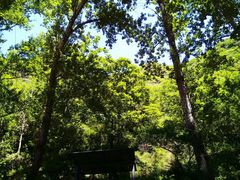 -雾灵西峰