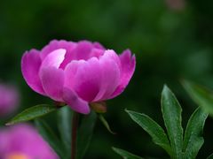 -白塘生态植物园