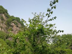 -秦岭终南山世界地质公园翠华山景区