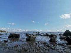 -深圳湾公园(南山区)