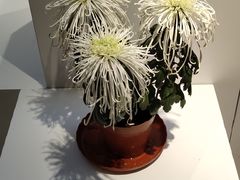 -汇龙潭
