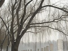 -迎泽公园