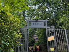 -玉苍山国家森林公园