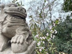 -阅江楼风景区