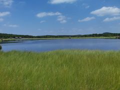 -塞罕坝国家级自然保护区