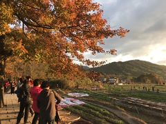 -塔川景区