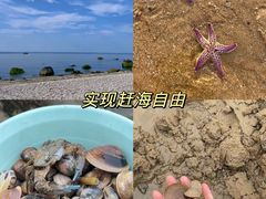 -木柴豆腐·活海鲜·鲁菜(岚山路店)