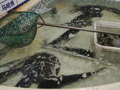 -锅老头铁锅炖•大锅蒸汽海鲜(韩乐坊店)