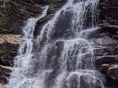 -墨尔本皇家植物园