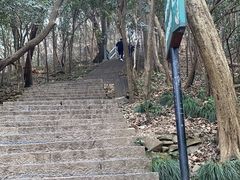 -紫金山山顶公园