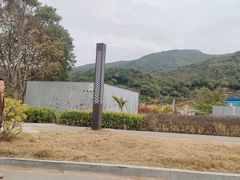 -西涌国际滨海旅游区