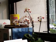 -卖呆儿咖啡(望京店)