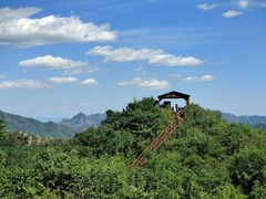 -大岭沟猕猴桃谷风景区