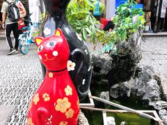 -猫咪博物馆(顶澳仔猫街店)