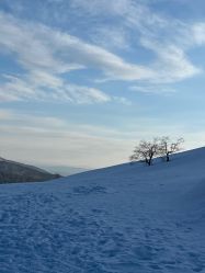 -大秃顶子山