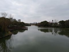 -新江湾城公园