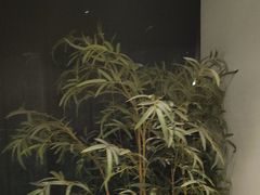 -上足·影院足道·SPA(红岭店)