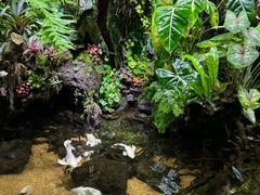 -太平洋海底世界