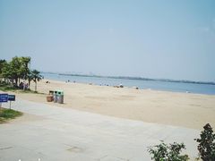 -瑶湖郊野森林公园