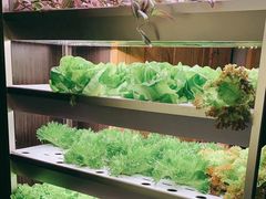 -捞天下大众火锅(水上公园店)