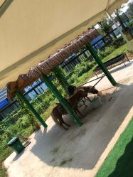 -萌宠亲子动物乐园(槐房万达店)