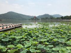 -顺峰山公园