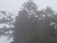 -恩施大峡谷