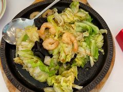 虾仁炒卷心菜-开海·红岛海鲜虾水饺(石老人店)