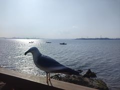 -将军石酒店温泉