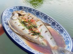 -水岸居湖景农家乐·阳澄湖大闸蟹