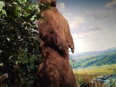 -陕西自然博物馆