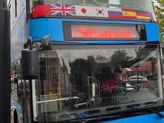 -BUS TOUR观光巴士