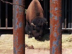 -石家庄市动物园