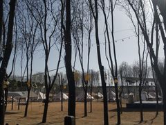 -中华郡文化旅游景区