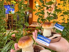 -大理董·董家小厨野生菌火锅(古城旗舰店)