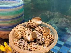 -吴记富苑(朝阳店)