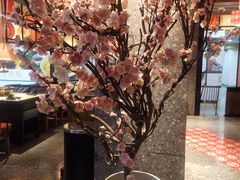 -黑牛の場(兴隆大奥莱店)