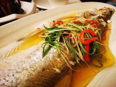 清蒸白丝鱼-逸林轩中餐厅(中信泰富朱家角锦江酒店)