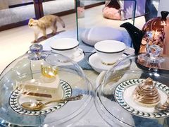 -momokira米努特·德文卷毛猫·棉花面纱犬