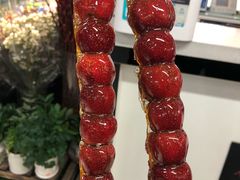 -和禄德冰糖葫芦