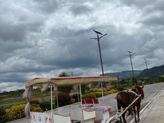 -彩色沙林风景区